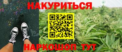 сатива Абинск