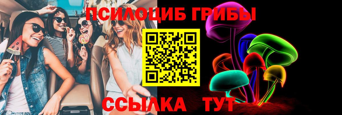 Псилоцибиновые грибы MAGIC MUSHROOMS  Алексин  наркошоп  Галлюциногенные грибы Psilocybe 