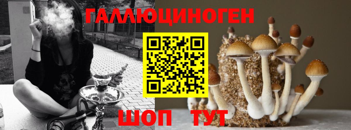 Галлюциногенные грибы ЛСД  Вход с VPN  Алексин 