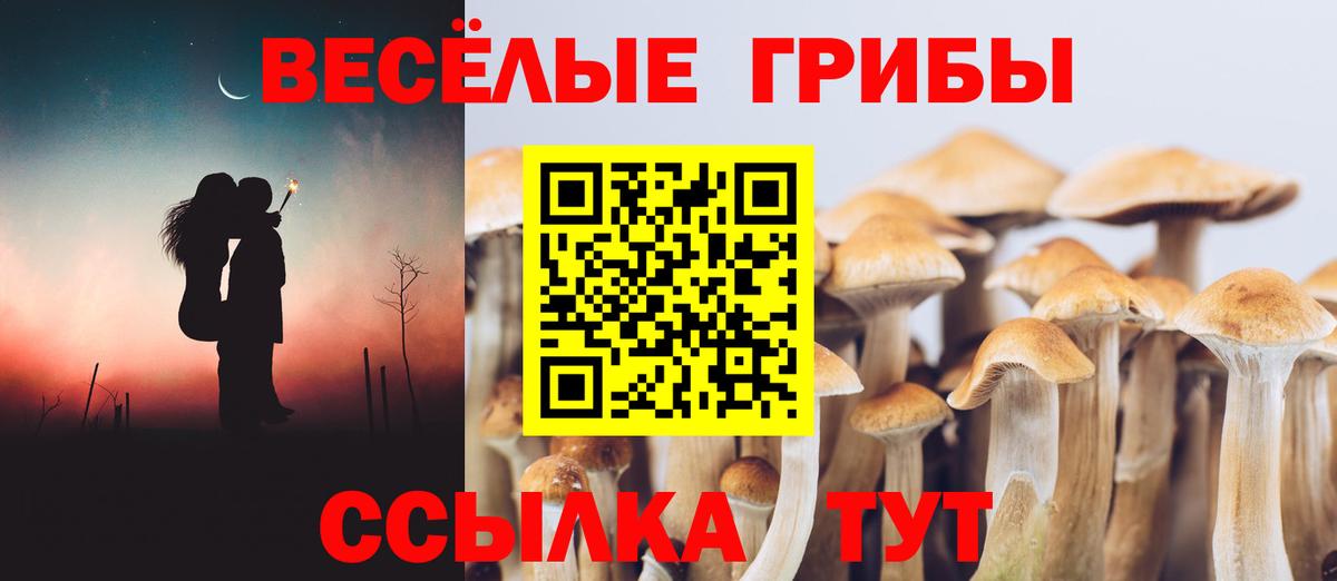 Псилоцибиновые грибы мухоморы  Вход с VPN  Алексин 