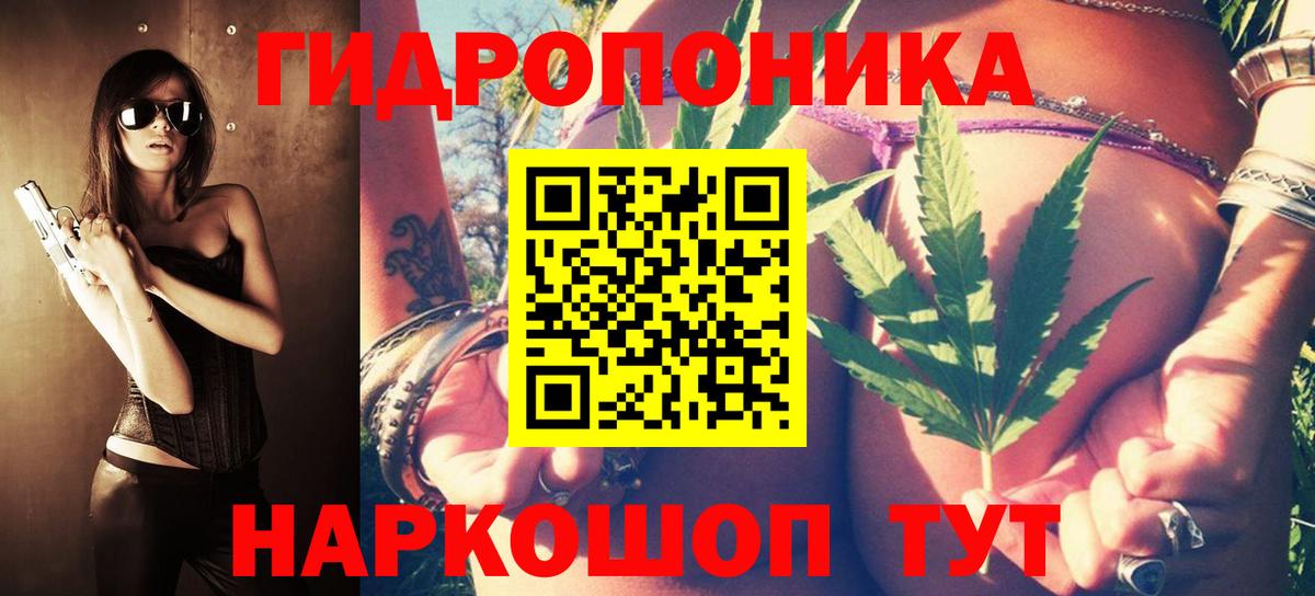 Марихуана Amnesia  Вход с VPN  Шишки марихуана Amnesia  Алексин 