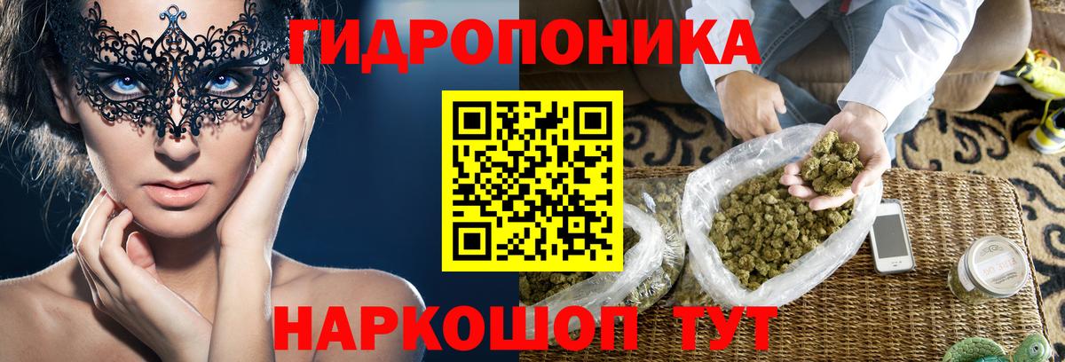 Алексин  Конопля индика  Канабис семена  Канабис AK-47  Вход с VPN 